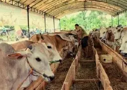 Pertanian, Perikanan